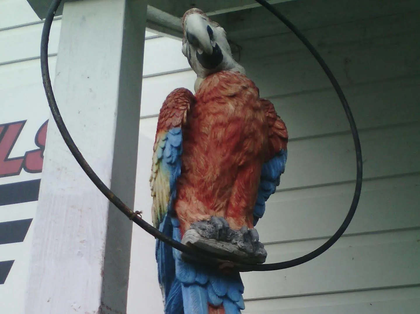 Wellington 747 Motel
